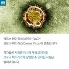 섬네일이미지  5: