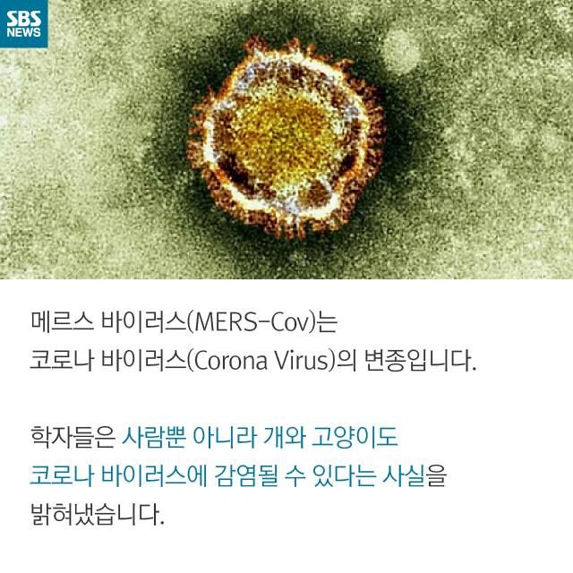 메인이미지  5 : 