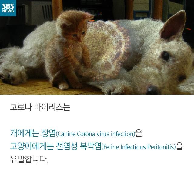 메인이미지  6 : 