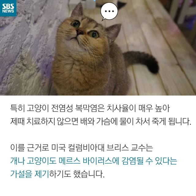 메인이미지  7 : 