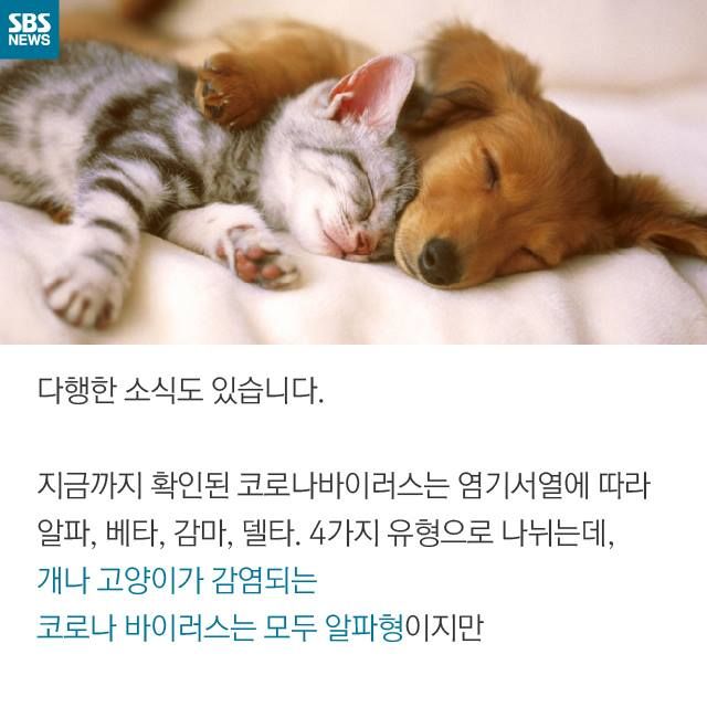 메인이미지  9 : 