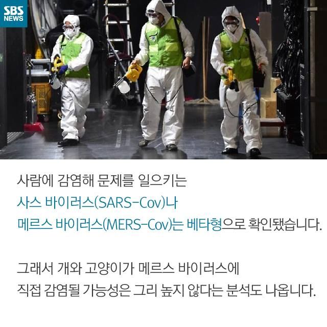 메인이미지  10 : 