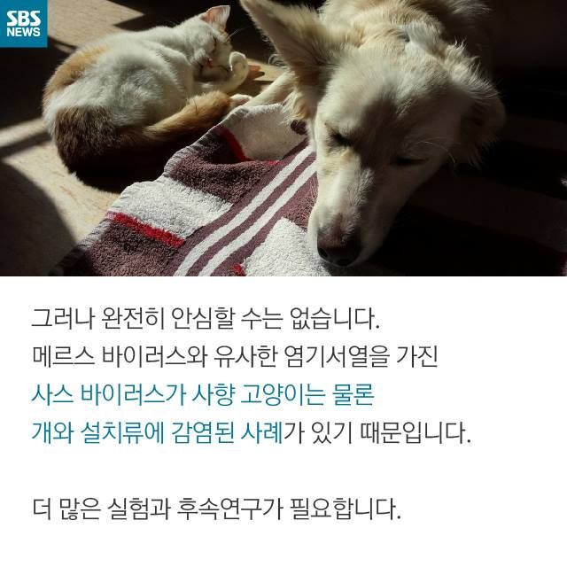 메인이미지  11 : 