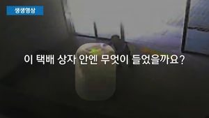 [생생영상] '트로이 목마' 재현한 2인조 도둑&hellip;기상천외 절도 행각