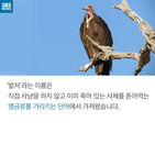 섬네일이미지  3: