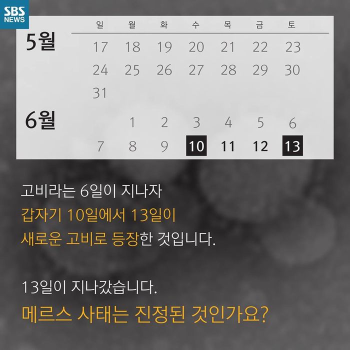 메인이미지  7 : 