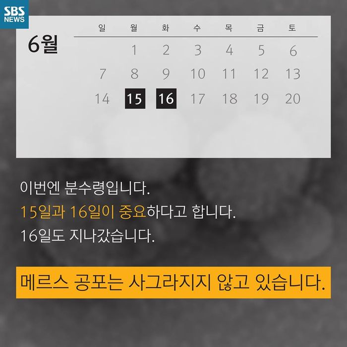 메인이미지  9 : 