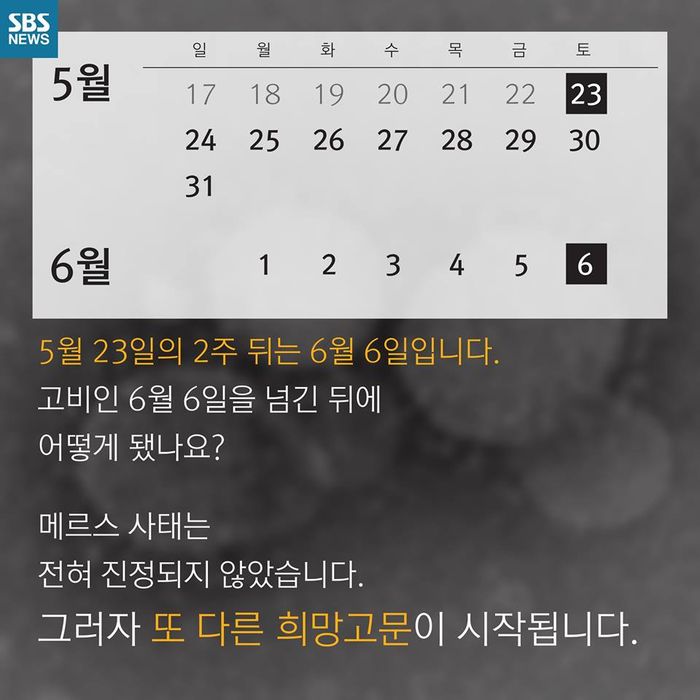 메인이미지  5 : 