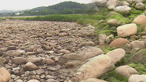 "마실 물도 없어요"&hellip;가뭄에 '제한급수' 실시