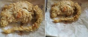 [월드리포트] KFC에서 팔았다는 '쥐 튀김'…그 진실은?