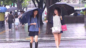 수도권, 반가운 '단비'&hellip;강원 가뭄 해갈엔 '부족'