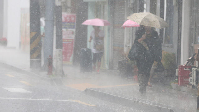 메인이미지  3 : 20일 오전 서울 광화문 일대에 반가운 단비가 내리고 있다. 기상청은 20일 밤까지 비가 내릴 것으로 예상했으며 지역에 따라 편차가 클 것 예상했다. (서울=연합)