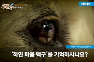 화려했던 과거 뒤로 한 채&hellip;강남역 한복판 떠도는 개의 사연