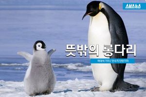 뜻밖의 롱다리? 귀여운 동물에 감춰진 '반전'