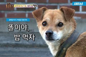 폐허로 변한 집에서 주인 기다리는 강아지&hellip;안타까운 사연