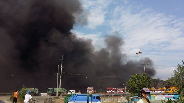 메인이미지  4 : 