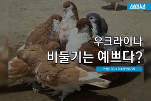 우크라이나 비둘기는 예쁘다? 직접 알아보니&hellip;