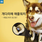 섬네일이미지  1: