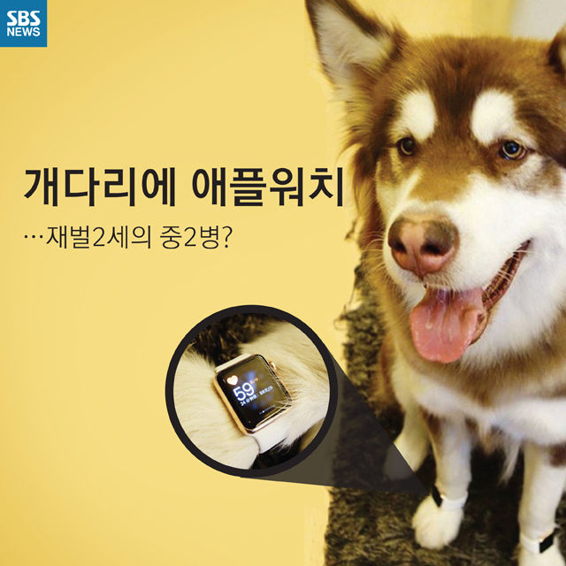 메인이미지  1 : 