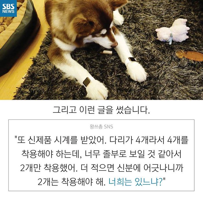 메인이미지  7 : 