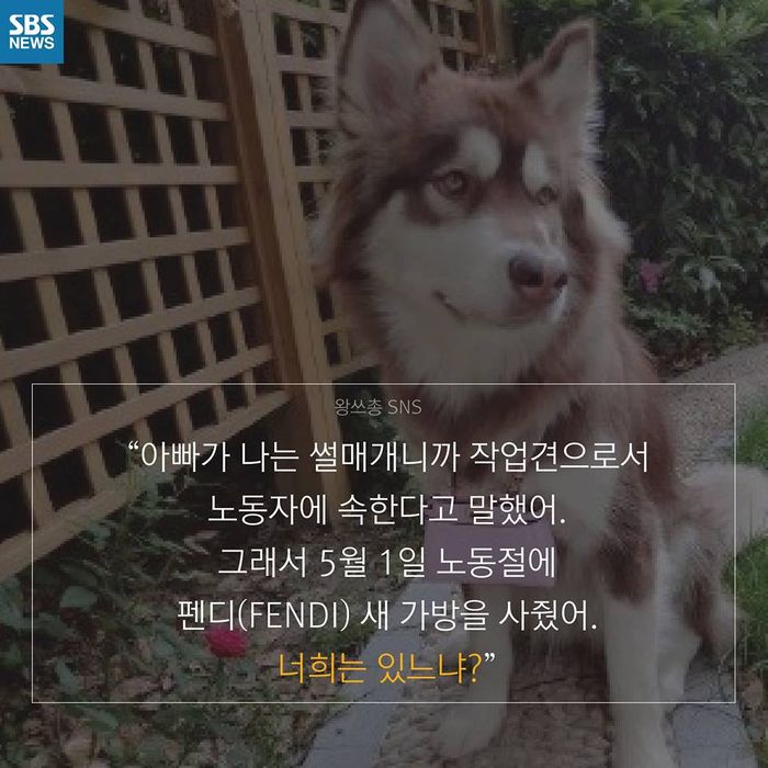 메인이미지  8 : 