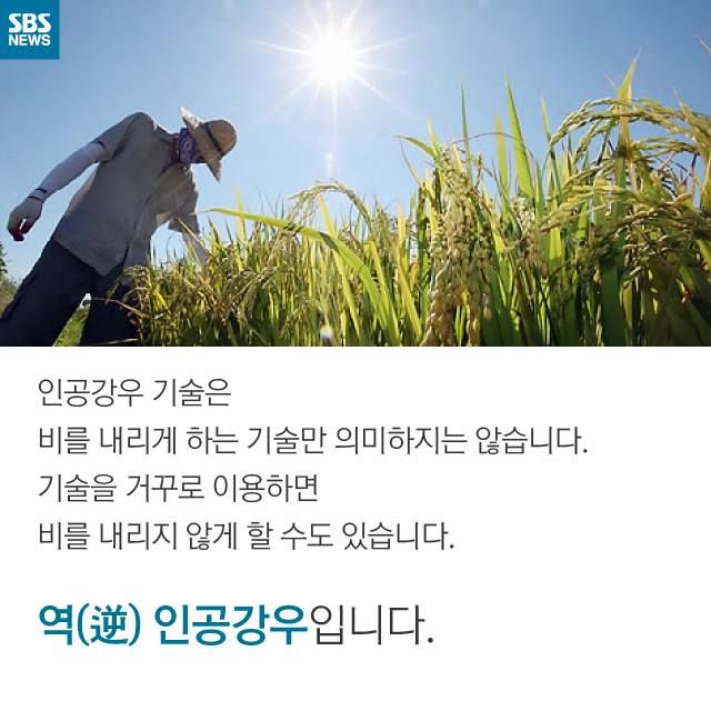 메인이미지  7 : 