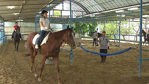 [수도권] '말산업 특구' 용인, 승마 집중 육성한다