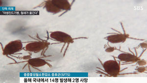 [취재파일] SFTS 원흉 진드기, 철새 타고 날아든다