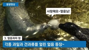 [생생영상] '덥다 더워' 동물들의 각양각색 폭염 대처법