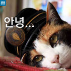 섬네일이미지  1: