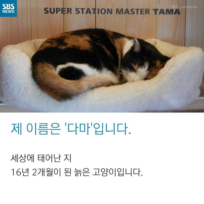 메인이미지  2 : 