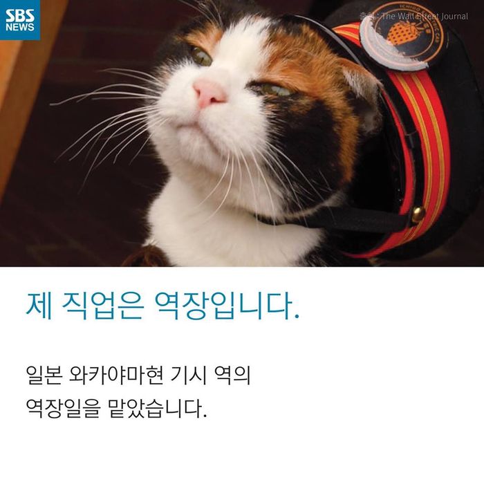 메인이미지  3 : 
