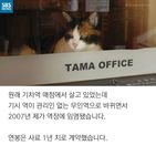 섬네일이미지  4: