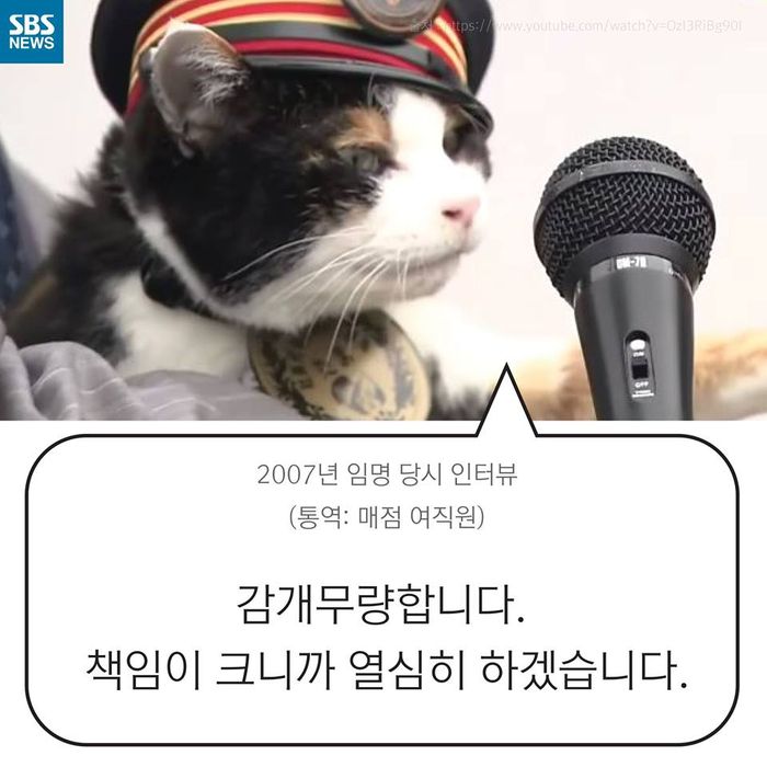 메인이미지  5 : 