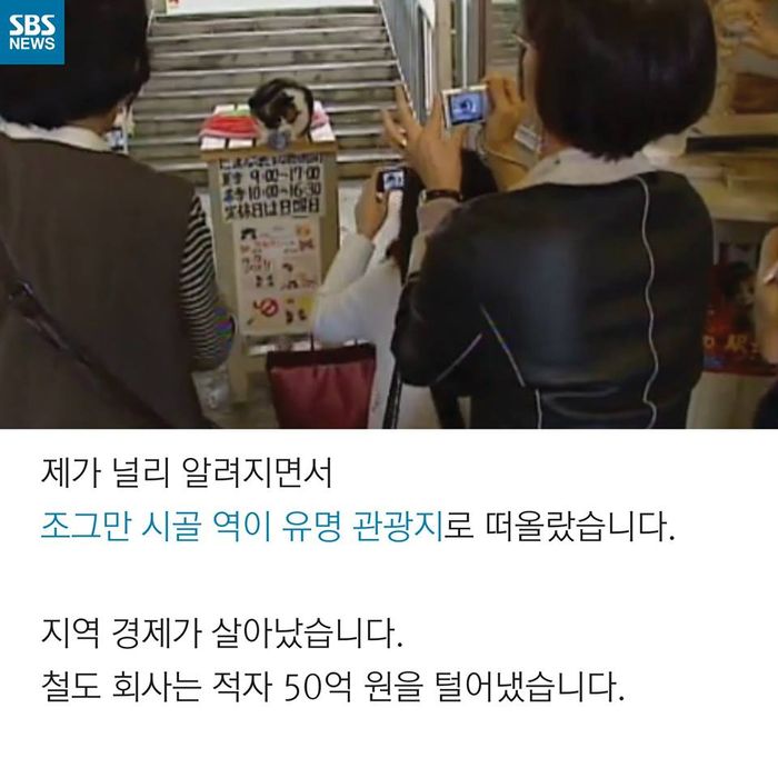 메인이미지  6 : 