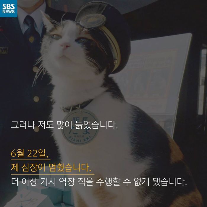 메인이미지  7 : 