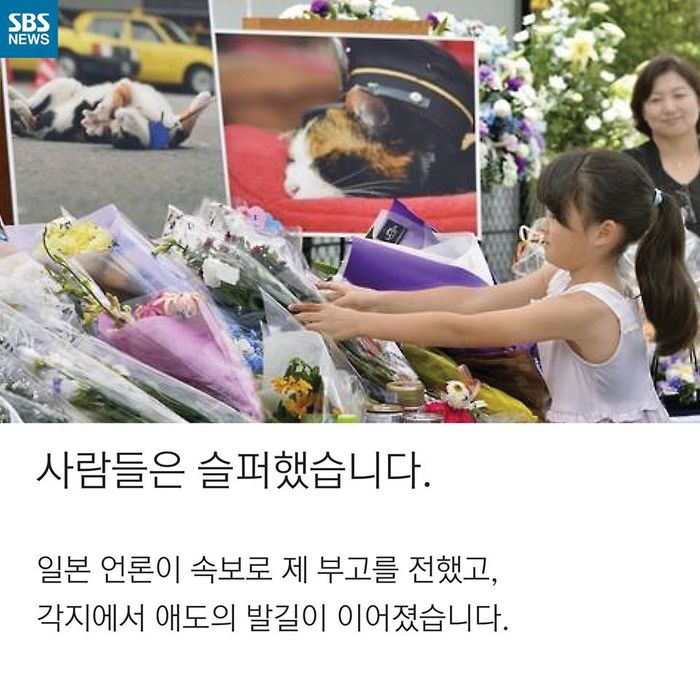 메인이미지  8 : 