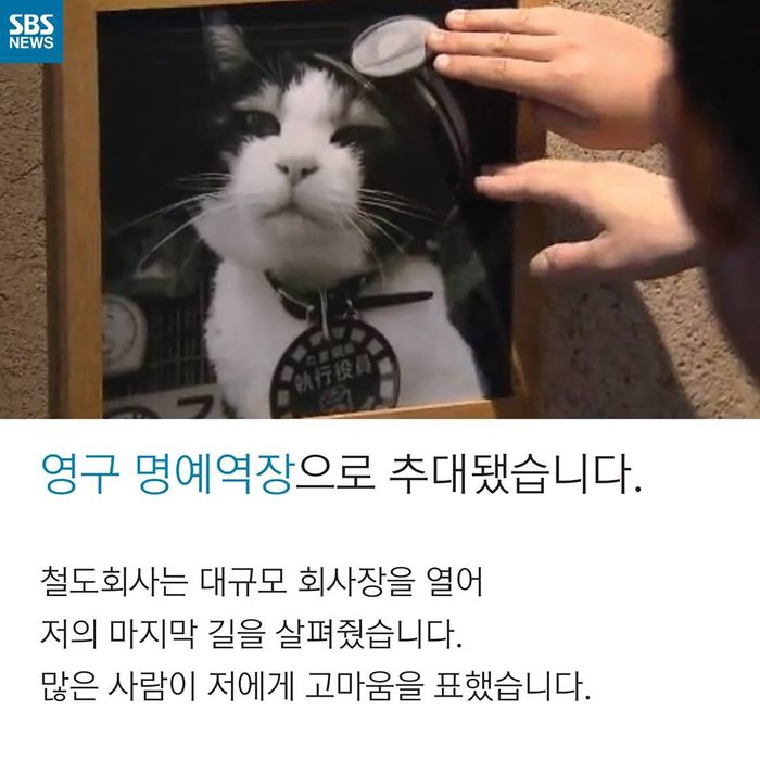 메인이미지  9 : 