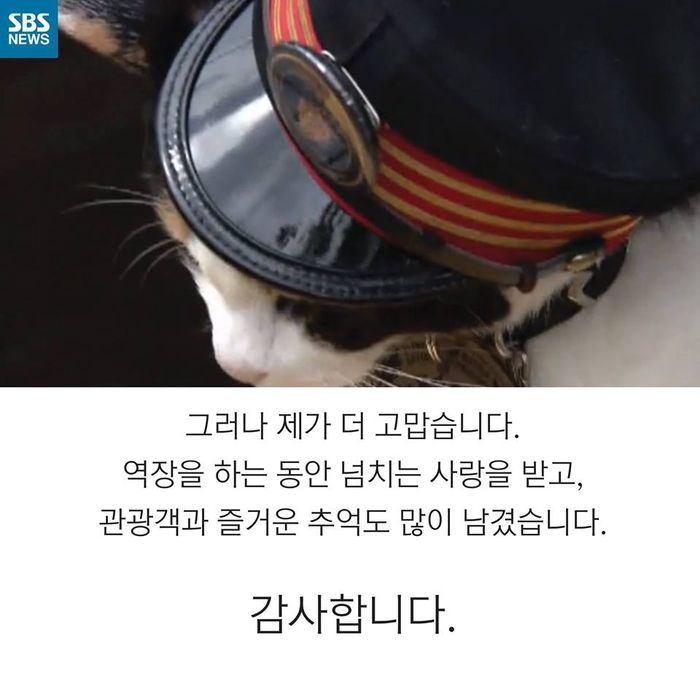 메인이미지  10 : 