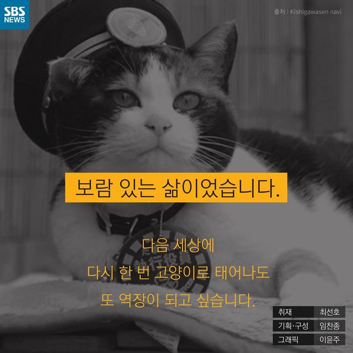 메인이미지  11 : 