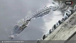 악어 흉내내며 호수 뛰어들었다가 악어에 참변