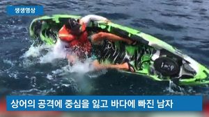 [생생영상] 상어 공격에 겨우 탈출했는데&hellip;다시 뛰어든 이유는?