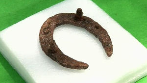 [전주] 호남에서 가야시대 편자&middot;말뼈 첫 발굴