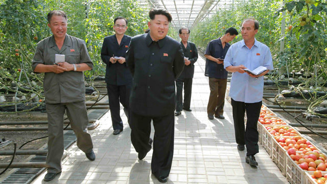 메인이미지  2 : 북한 김정은 국방위원회 제1위원장이 평양남새(채소)과학연구소를 방문했다고 7일 조선중앙통신이 보도했다.