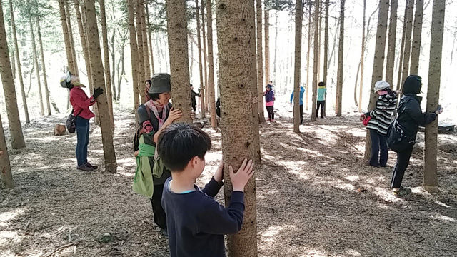 메인이미지  4 : 30년 동안 일반에 공개되지 않았던 서울대공원 내 5만㎡ 숲이 '산림치유숲'으로 변신해 시민들에게 개방된다. 서울대공원은 숲은 물론 청계산 골짜기로부터 이어지는 계곡과 약 10m 높이의 천연폭포까지 자연환경이 잘 보존된 숲을 각종 스트레스가 많은 도시민의 치유공간으로 13일부터 문을 연다고 8일 소개했다. (서울=연합뉴스)