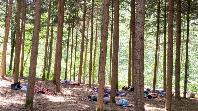 메인이미지  2 : 30년 동안 일반에 공개되지 않았던 서울대공원 내 5만㎡ 숲이 '산림치유숲'으로 변신해 시민들에게 개방된다. 서울대공원은 숲은 물론 청계산 골짜기로부터 이어지는 계곡과 약 10m 높이의 천연폭포까지 자연환경이 잘 보존된 숲을 각종 스트레스가 많은 도시민의 치유공간으로 13일부터 문을 연다고 8일 소개했다. (서울=연합뉴스)