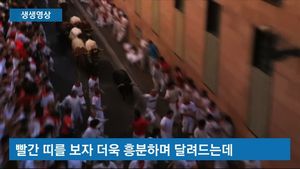 [생생영상] 사람 향해 돌진하는 '성난 소'&hellip;위험천만 달리기