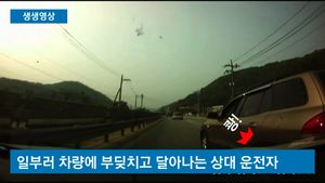 [생생영상] "너 미쳤어?" 막말과 고성 오가는 '분노의 도로'