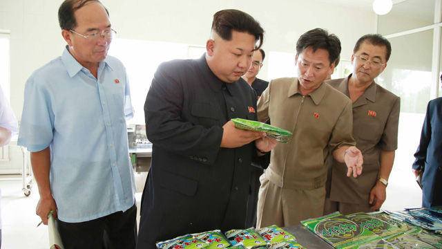 메인이미지  2 : 북한 김정은 국방위원회 제1위원장이 평양대경김가공공장을 현지지도했다고 조선중앙통신이 11일 보도했다.