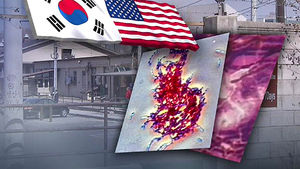 미 국방부 "살아있는 탄저균 배달원인 불분명"